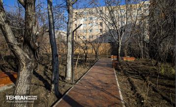 باغ گلاریس 38