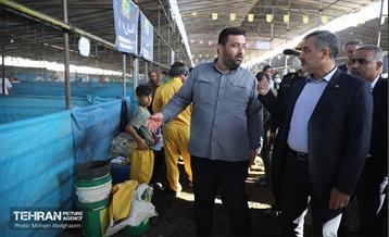 بازدید از مرکز عرضه بهداشتی دام ویژه عید قربان 58