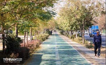 به وقت خدمت؛ باغ‌راه حضرت زهرا(س) محدوده آیت الله سعیدی 76