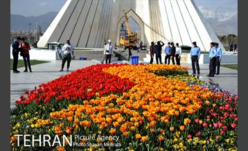 رویش گل های لاله در میدان آزادی 1