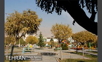 بوستان بنفشه 8