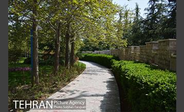 روز طبیعت متفاوت شهر تهران-1 28