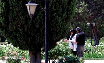 طبیعت بهاری در باغ ملی گیاهشناسی ایران 25