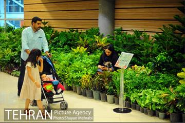 هشتمین نمایشگاه گل و گیاه تهران 25