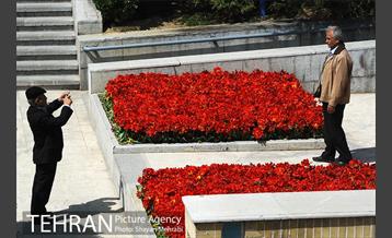 رویش گل های لاله در بوستان گفتگو 2