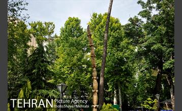 باغ موزه هنر ایرانی 30