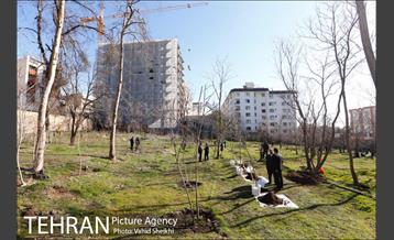 باز آفرینی باغ عبقری منطقه ۲ 1