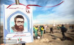 کاشت ۲۴۰۰۰ نهال به یاد شهدای پایتخت 23