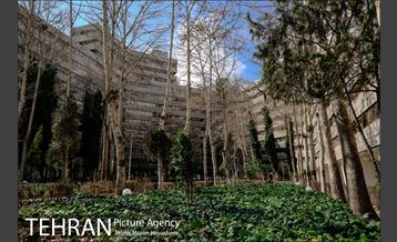 شهرک اکباتان 15