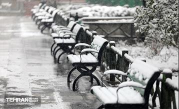 بارش برف در تهران 36