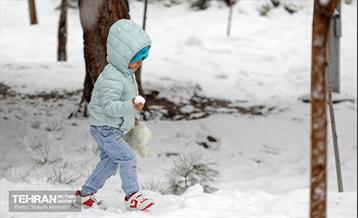 بارش برف در تهران 7