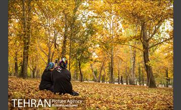 پاییز زیبای پایتخت 10