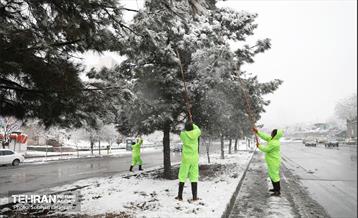 صبح آدینه برفی  22