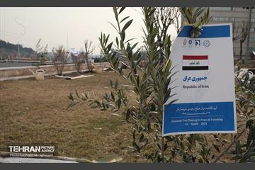 آئین روز درختکاری با حضور سفیران و نمایندگان کشورهای خارجی 40
