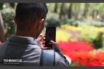 باغ ایرانی میزبان لاله‌ها 52