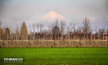 دماوند / فریدون قربانی