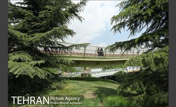 پل جدید بوستان آب و آتش 8