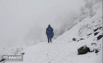 بارش برف زمستانی در تهران 14