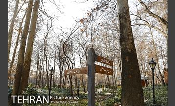 باغ ایرانی 1