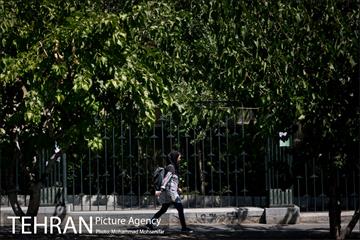 شهرنگار؛ خیابان ۱۶ آذر 13