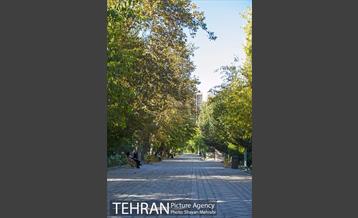 بوستان هنرمندان (ایرانشهر) 29