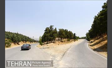 بوستان جنگلی یاس فاطمی 27