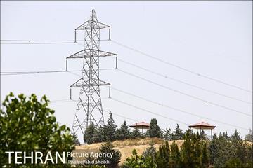 بوستان جنگلی یاس فاطمی 32