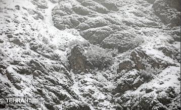 بارش برف زمستانی در تهران 5