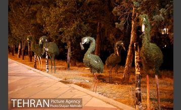 شبهای خیابان لبخند 1