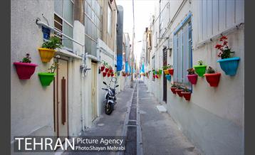 کوچه امیدی رنگ نوروز گرفت 25