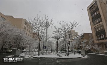 روز برفی در منطقه 8