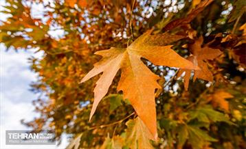 رود دره فرحزاد 59