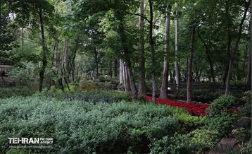 به وقت اردیبهشت؛ باغ ایرانی 39