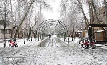 روز زمستانی تهران 18