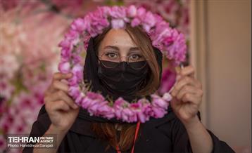 پایتخت میزبان جشنواره گل و گلاب 5