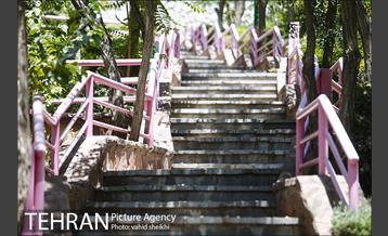 بوستان گلابدره 15