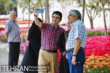 پیاده راه لاله برای مادران 25