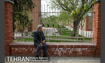 روز طبیعت بدون انسان 3