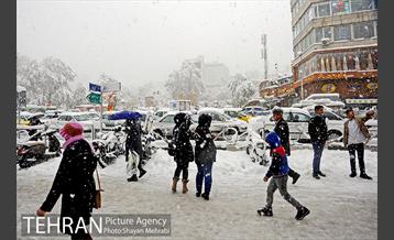 بارش برف در تجریش 23