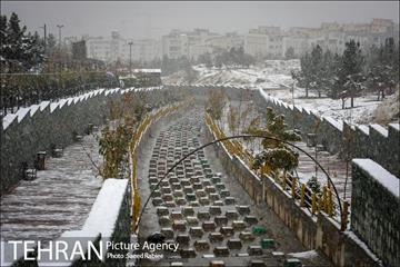 بارش نخستین برف پاییزی در تهران 8