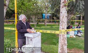 روز طبیعت بارانی در بوستان رازی 1