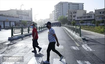 تهران خاکستری 16