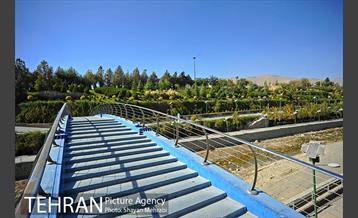 بوستان جوانمردان 6