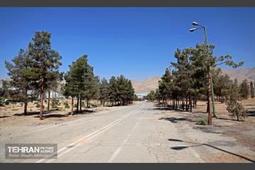 بازدید اصحاب رسانه از روند انجام عملیات احیای چیتگر 66