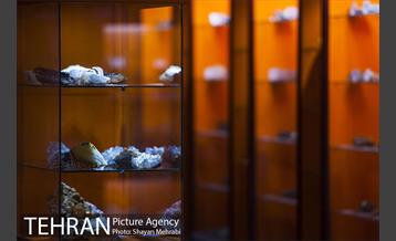 موزه علوم زمین 20