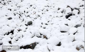 بارش برف زمستانی در تهران 12