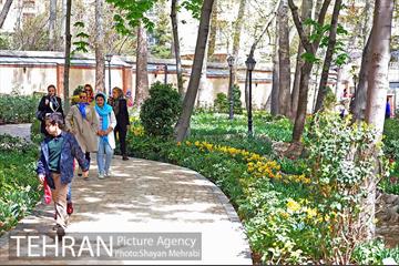 رویش گل های لاله در باغ ایرانی 7