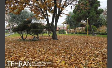 پاییز در بوستان رازی 16