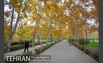 پاییز در پارک های تهران 11