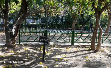 افتتاح پروژه‌های منطقه ۱۴ 15